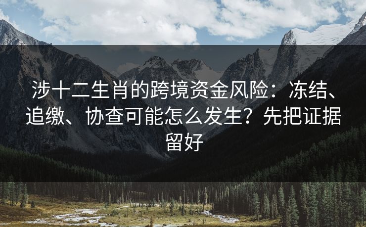 涉十二生肖的跨境资金风险：冻结、追缴、协查可能怎么发生？先把证据留好