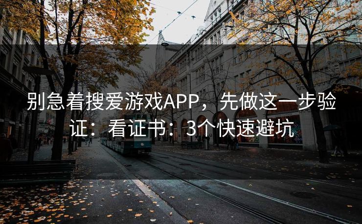 别急着搜爱游戏APP，先做这一步验证：看证书：3个快速避坑