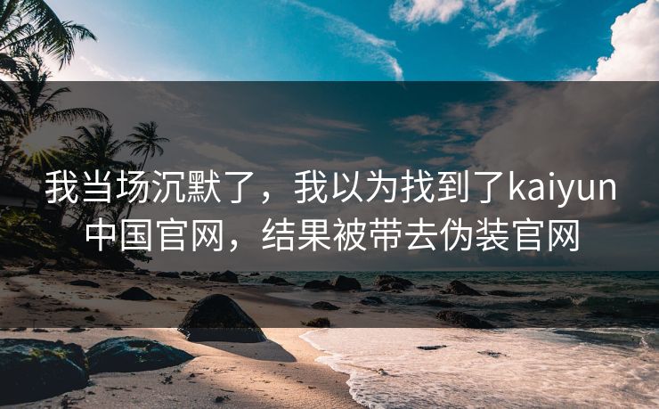 我当场沉默了，我以为找到了kaiyun中国官网，结果被带去伪装官网
