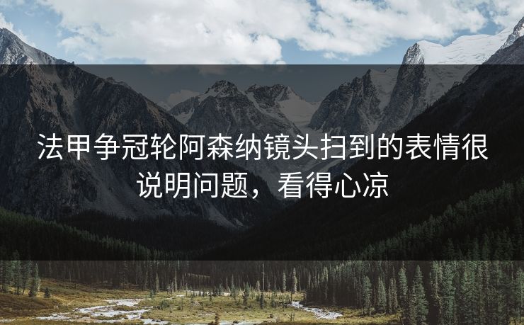 法甲争冠轮阿森纳镜头扫到的表情很说明问题，看得心凉
